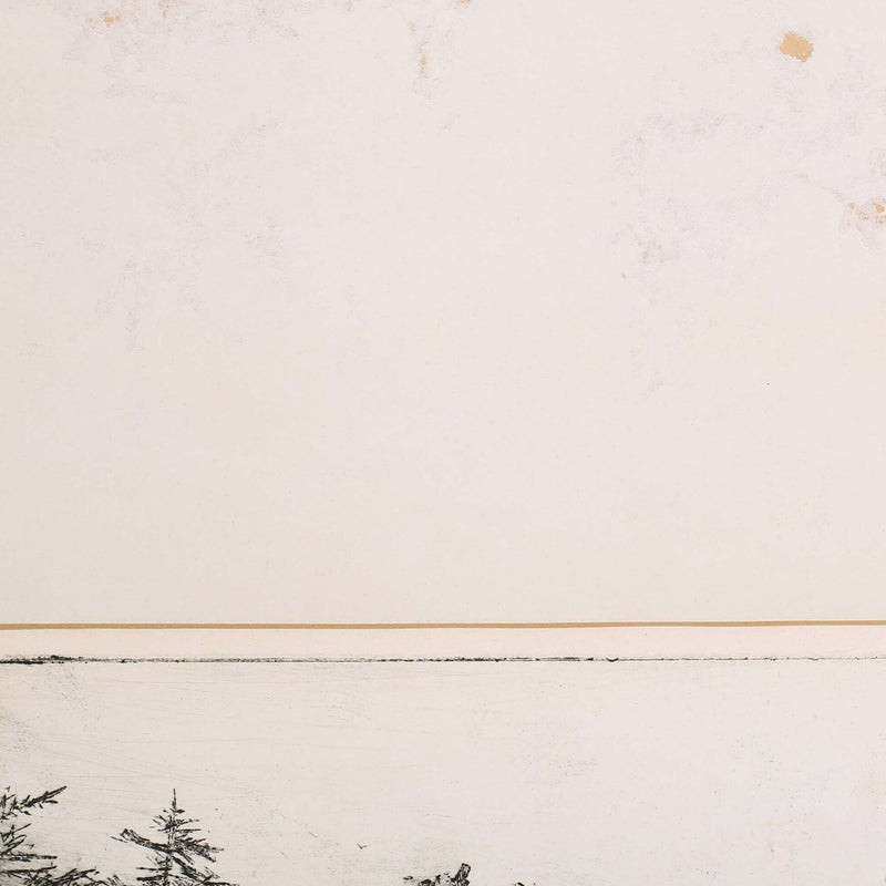 Herman van Tongeren, 'Grote Boomstronk'; 1969-zoom-