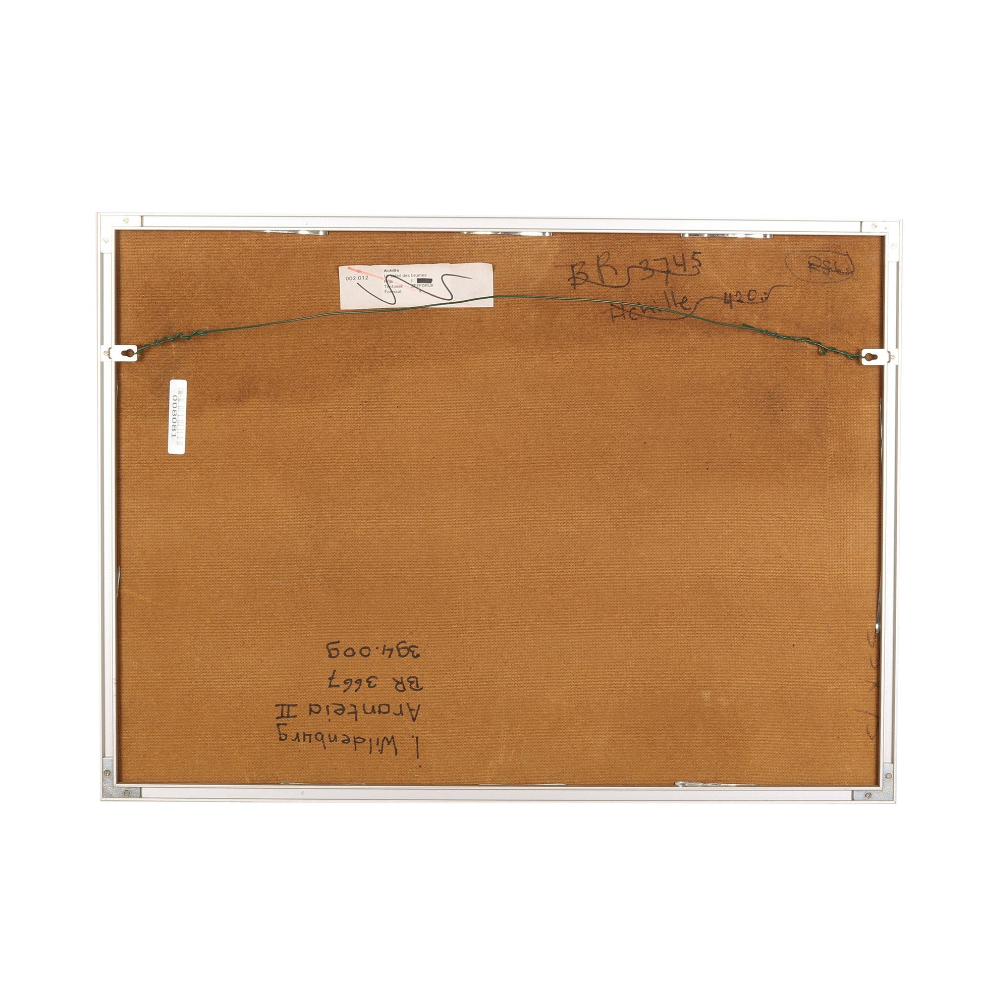 Leon Wildenburg, 'Aranteia II'-4