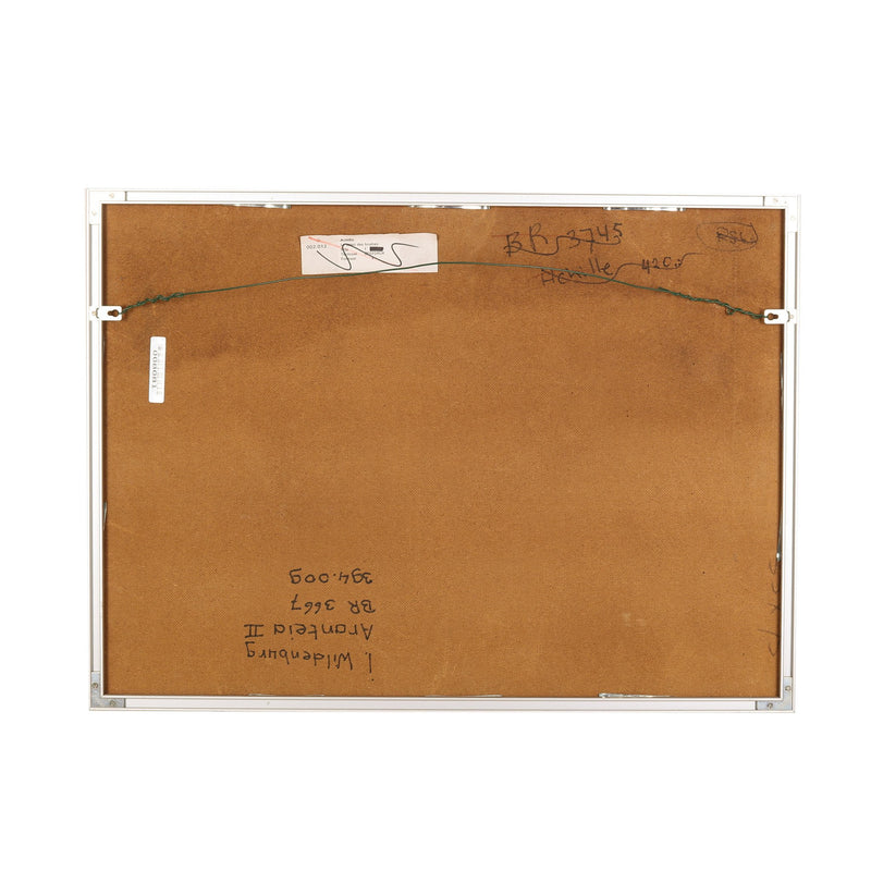 Leon Wildenburg, 'Aranteia II'-zoom-