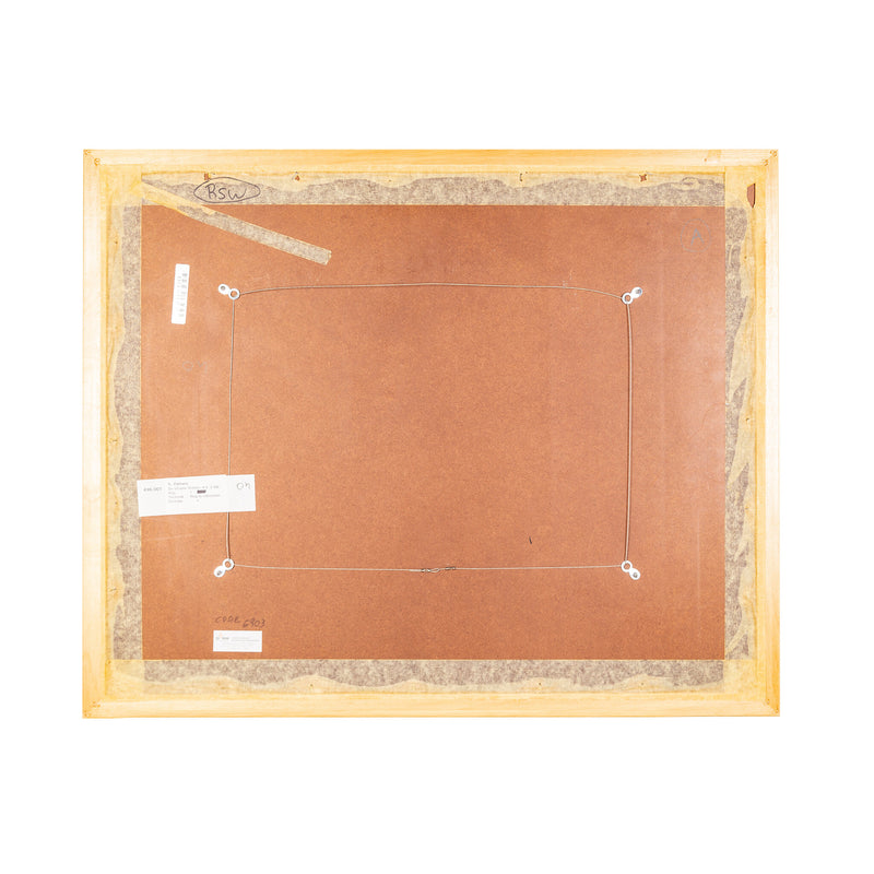 S. Zijlmans, 'De situatie achter d.d. 31 januari 1995'; 1995-zoom-