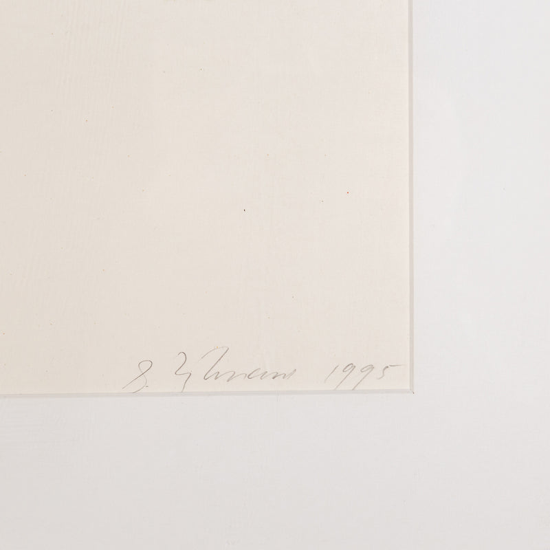 S. Zijlmans, 'De situatie achter d.d. 31 januari 1995'; 1995-zoom-