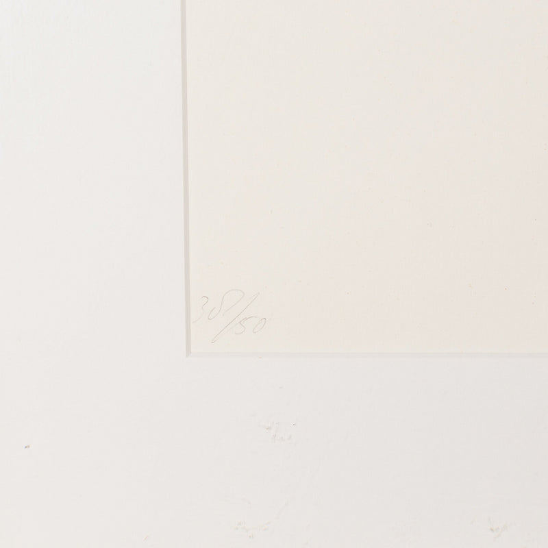 S. Zijlmans, 'De situatie achter d.d. 31 januari 1995'; 1995-zoom-