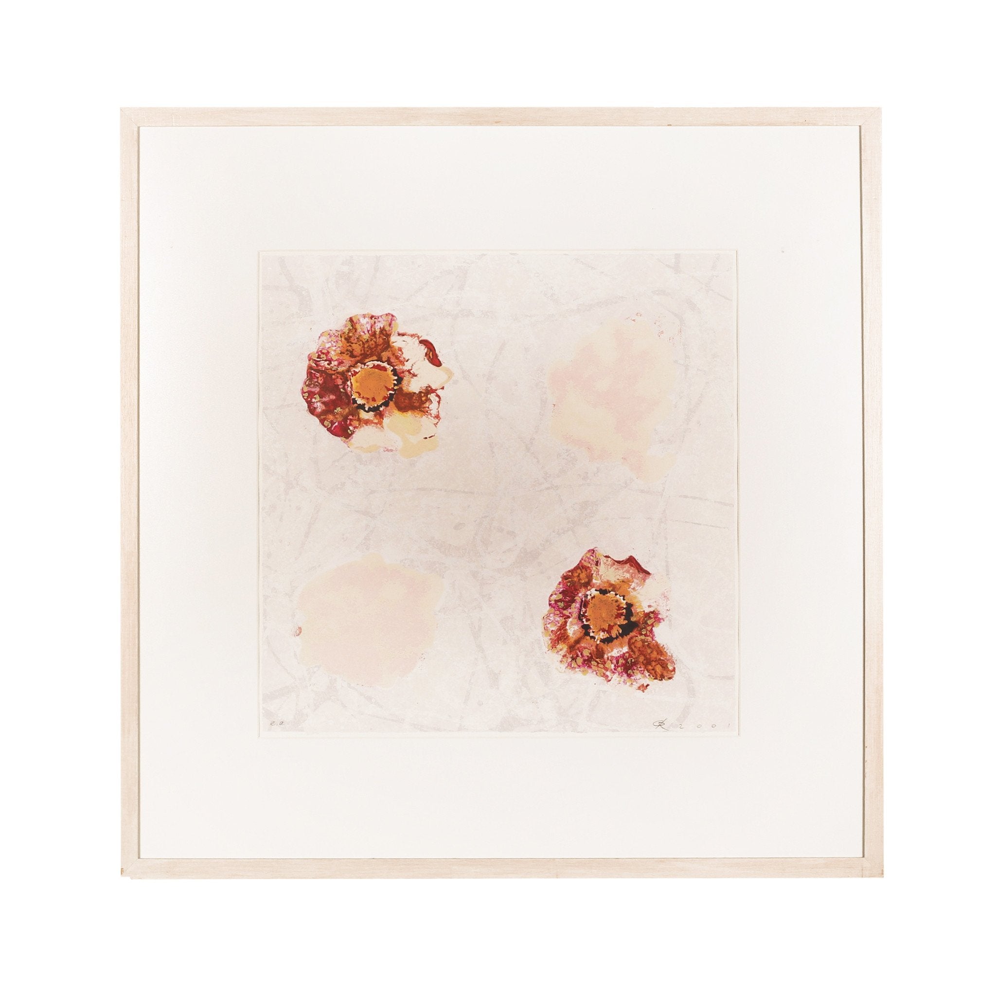 Rob de Graaf, 'Chaos is een aparte werkelijkheid'; 2001-zoom-1