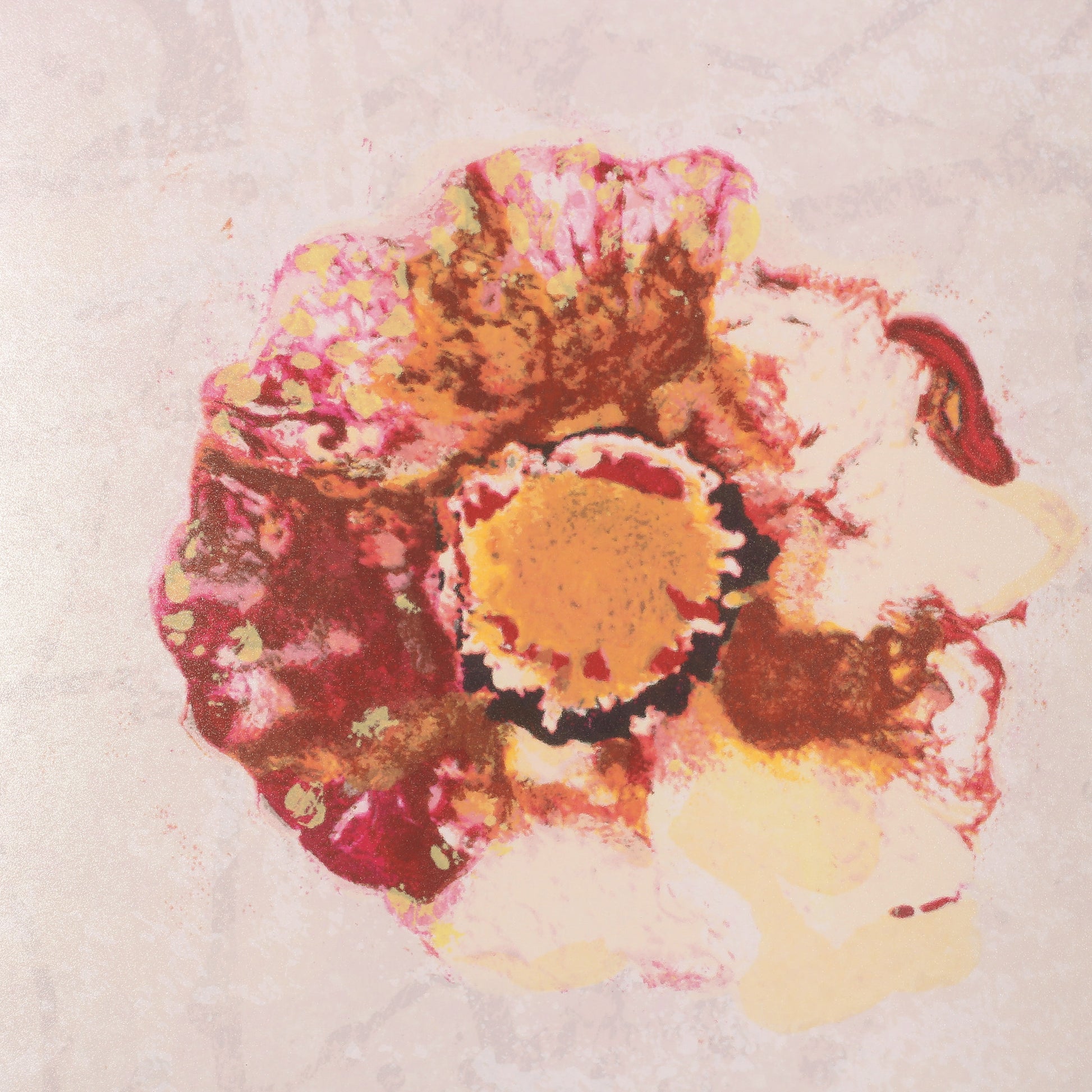 Rob de Graaf, 'Chaos is een aparte werkelijkheid'; 2001-2