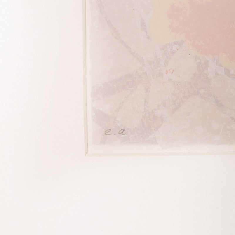 Rob de Graaf, 'Chaos is een aparte werkelijkheid'; 2001-zoom-