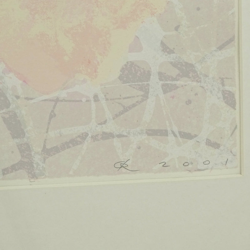 Rob de Graaf, 'Chaos is een aparte werkelijkheid'; 2001-zoom-