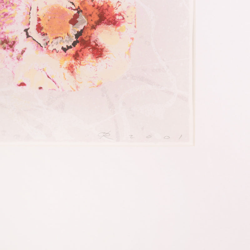 Rob de Graaf, 'Chaos is een aparte werkelijkheid'; 2001-zoom-