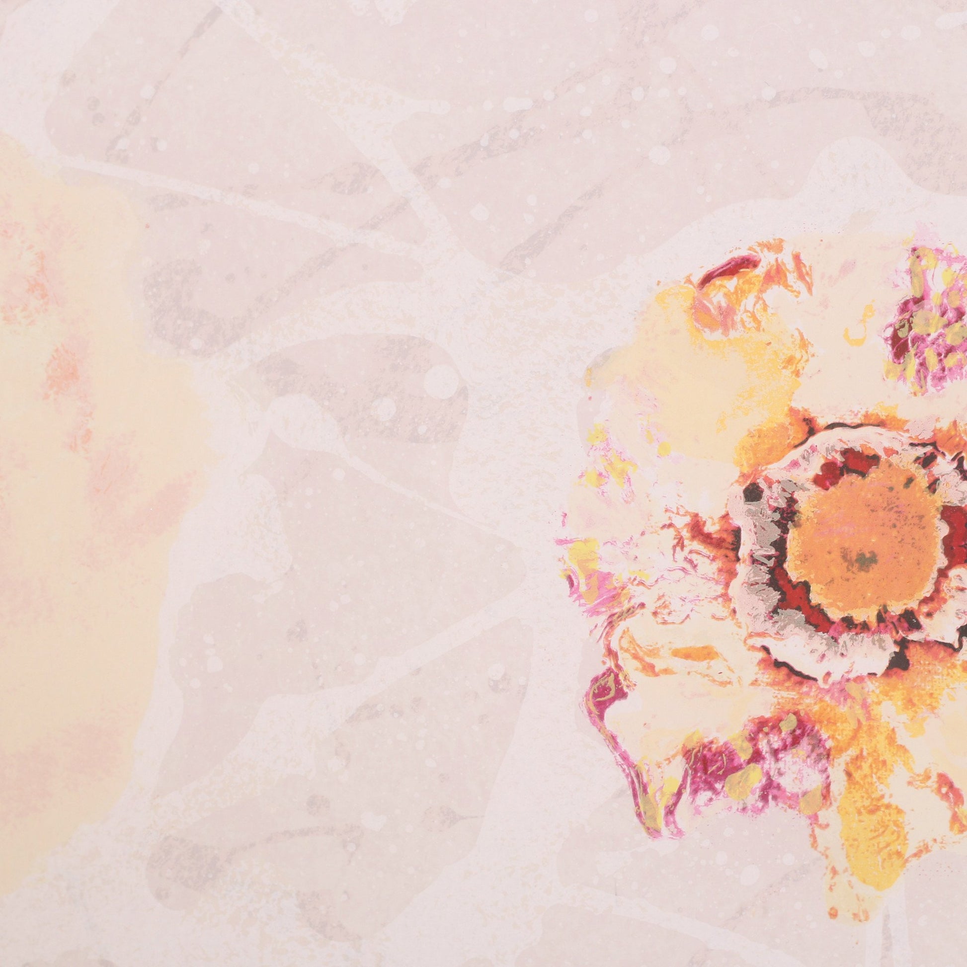 Rob de Graaf, 'Chaos is een aparte werkelijkheid'; 2001-2