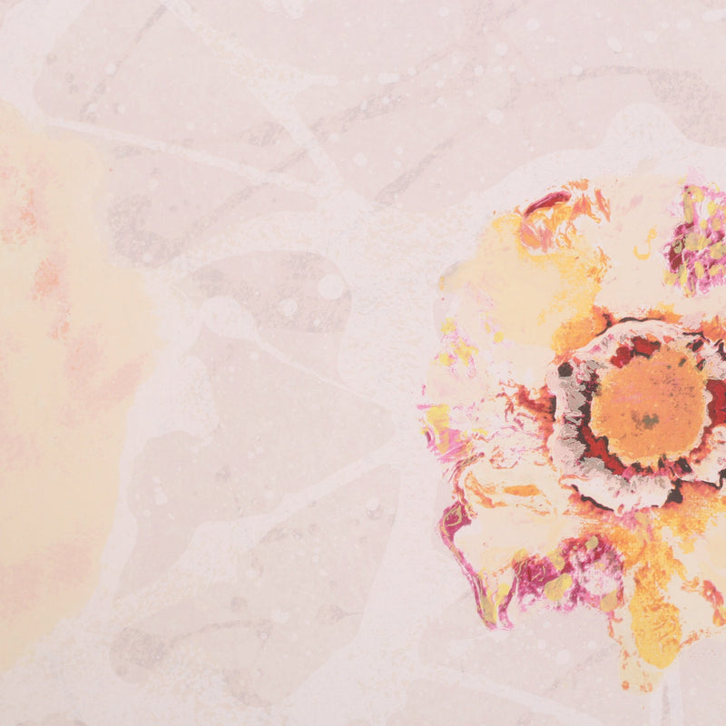 Rob de Graaf, 'Chaos is een aparte werkelijkheid'; 2001-zoom-