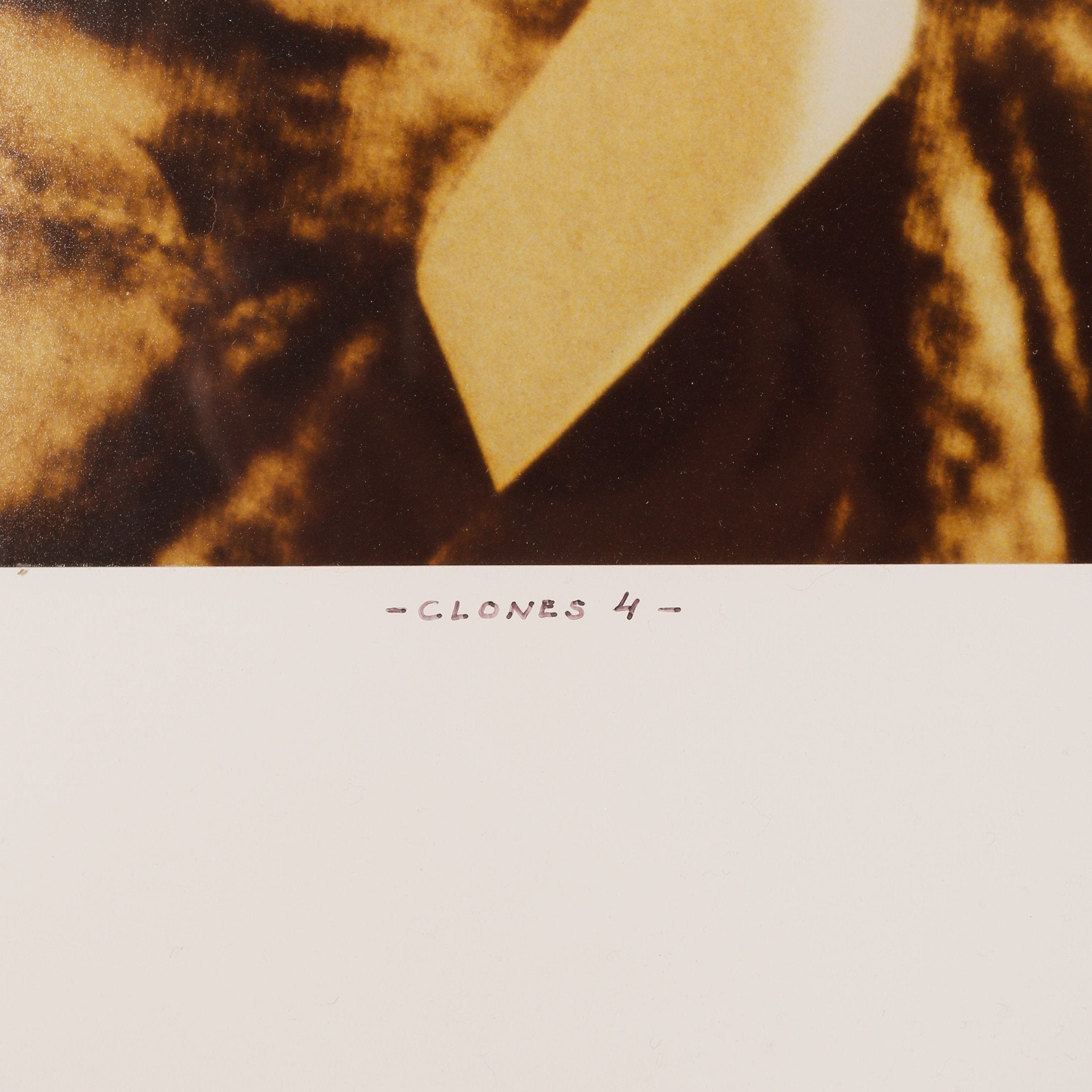 Paul Overdijk, 'Clones 4'; 2003-zoom-4