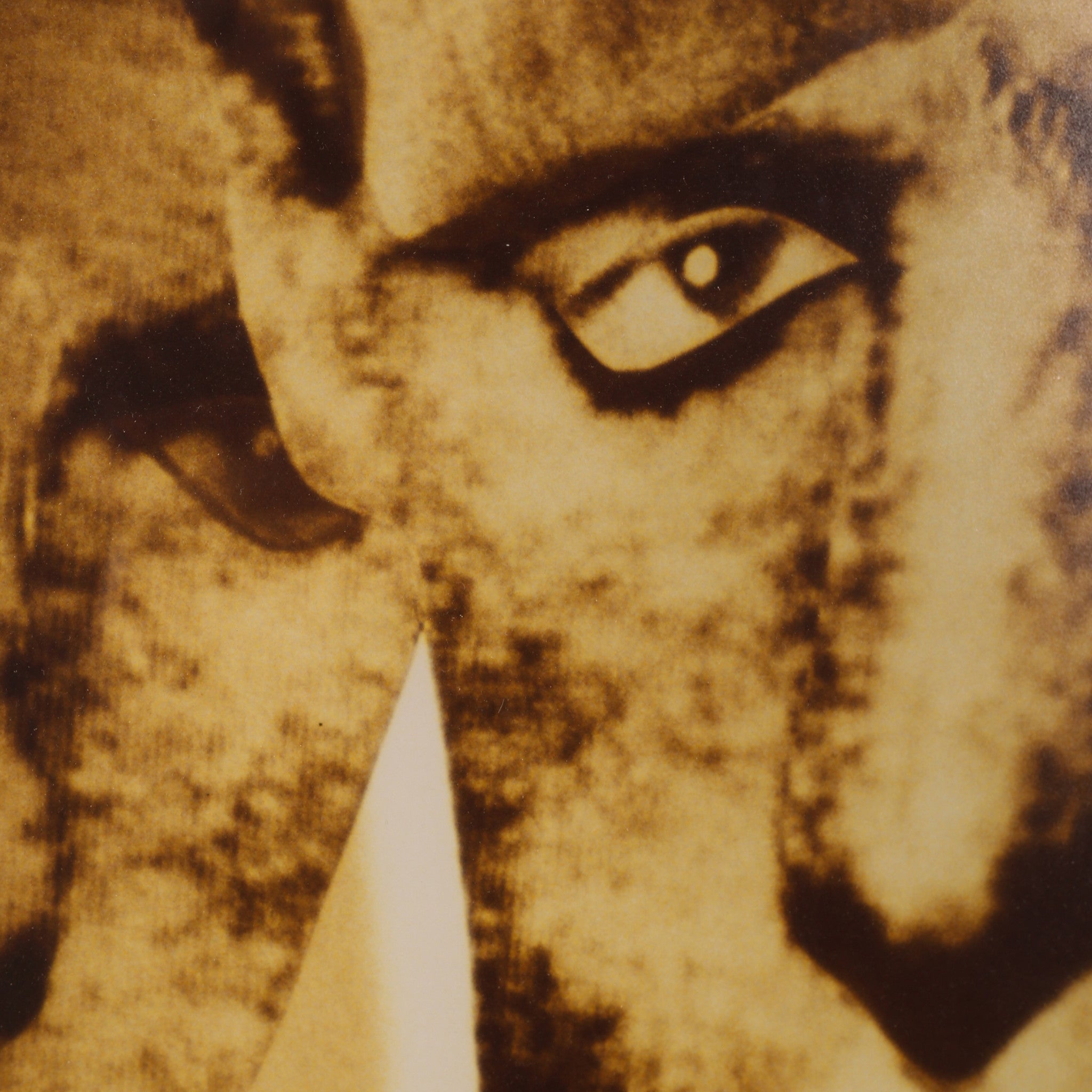 Paul Overdijk, 'Clones 4'; 2003-zoom-2