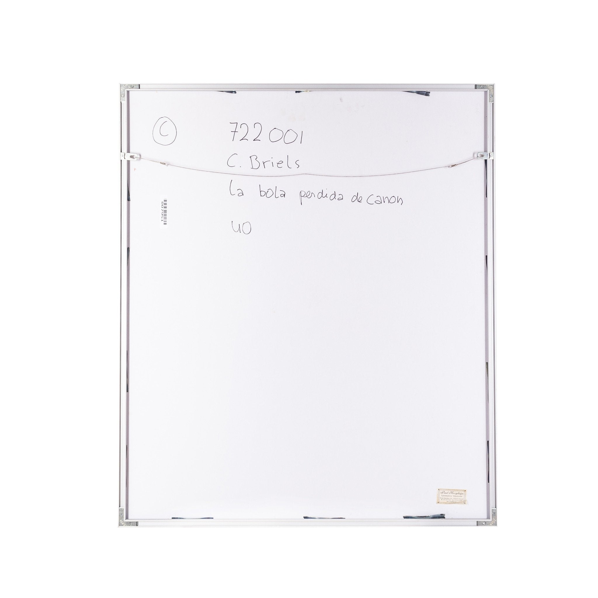 C. Briels, 'La bola perdida del canon'; 2008-zoom-5