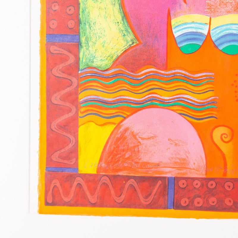 C. Briels, 'La bola perdida del canon'; 2008-zoom-