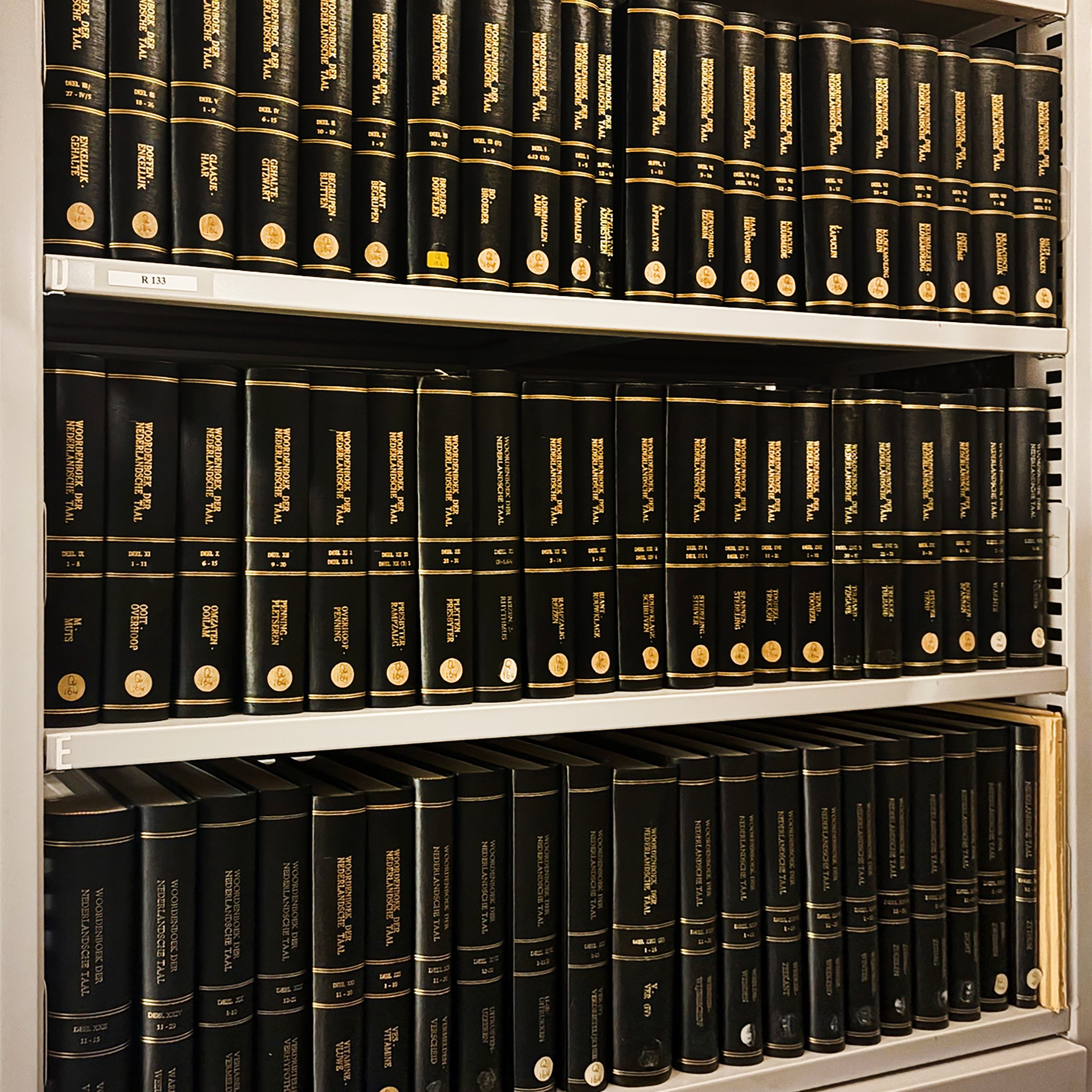 Het Woordenboek der Nederlandsche Taal, 20e eeuw