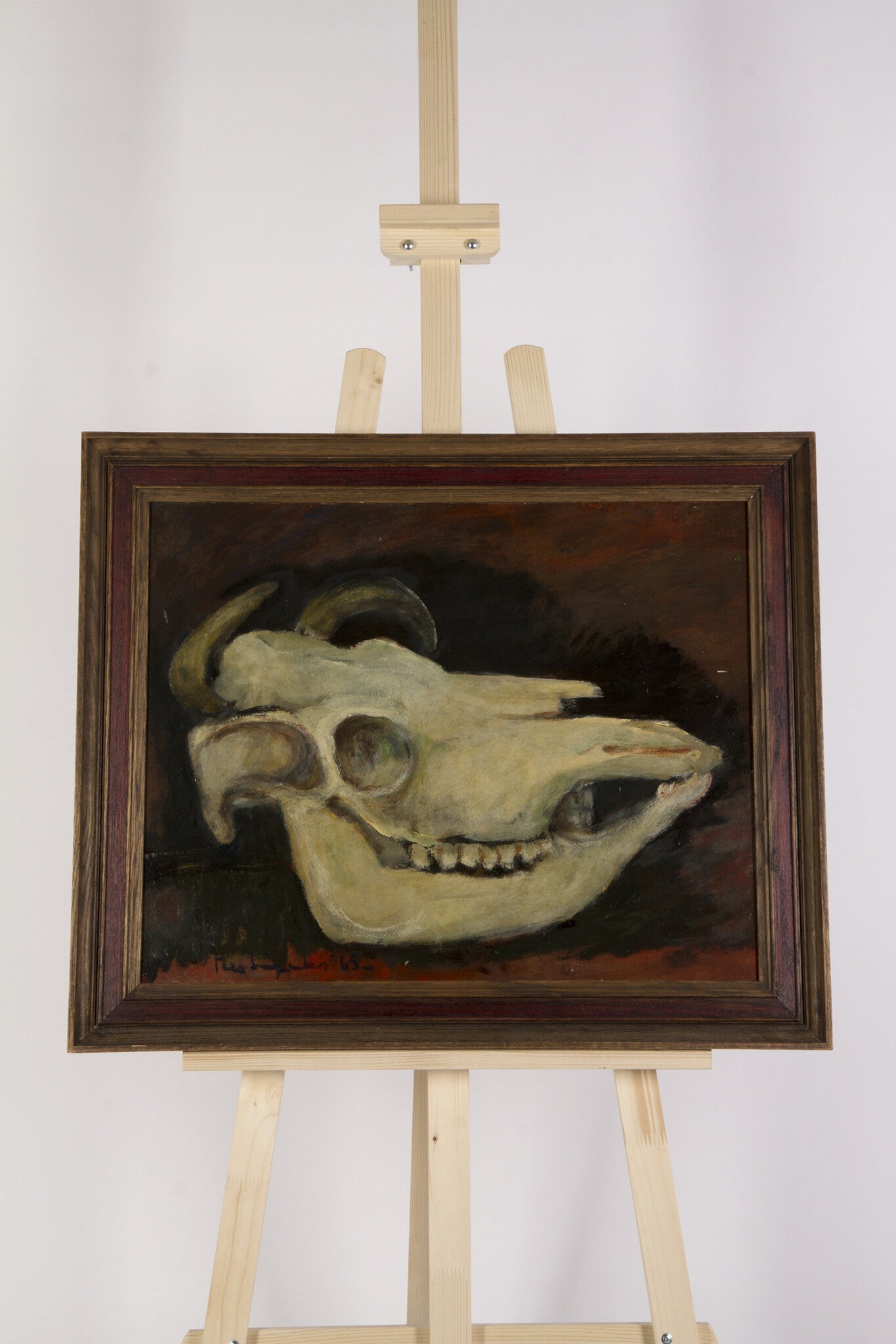Theo Swagemakers, 'Stilleven van ossenkop', 1965-5