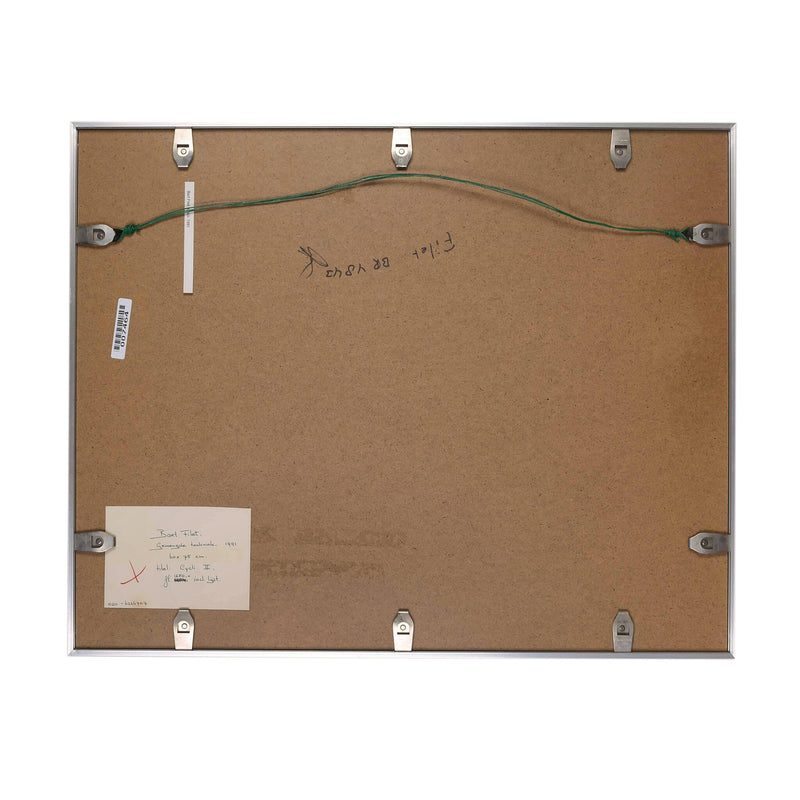 Bart Filet, Cycli II, 1991-zoom-