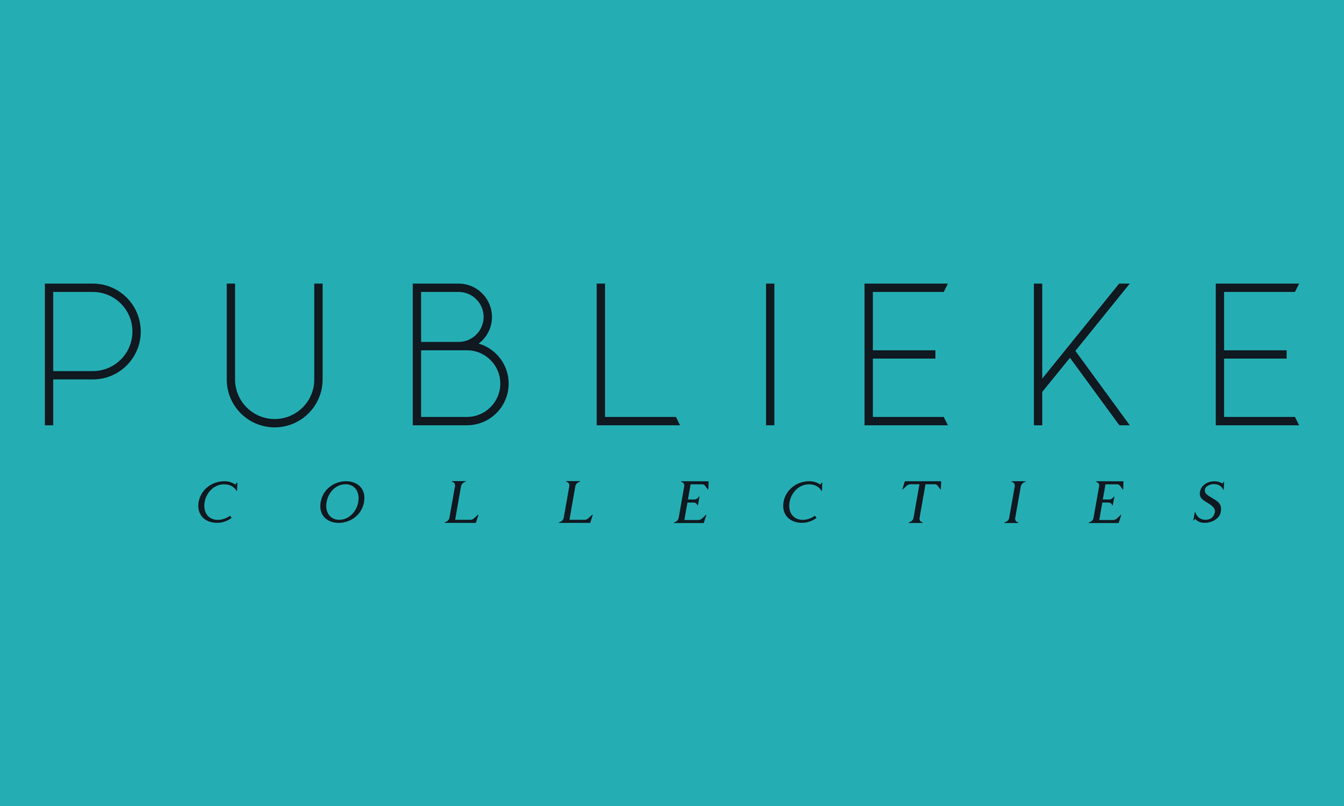 Publieke Collecties-1