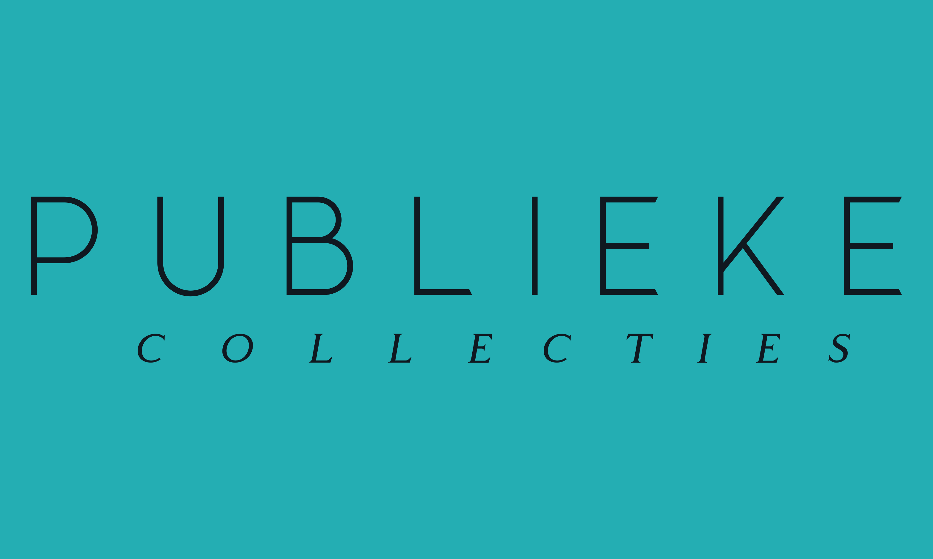 Publieke Collecties