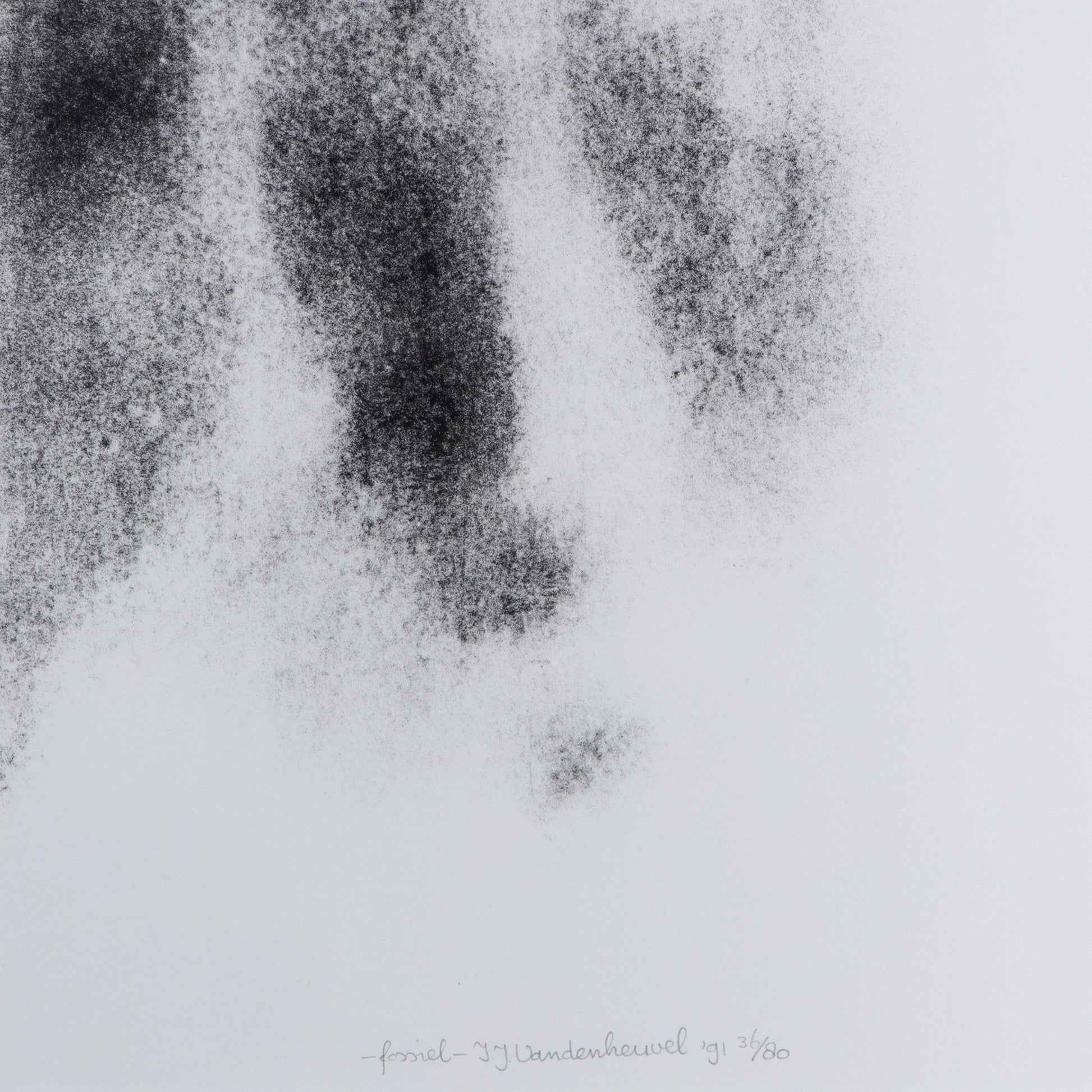 Ina Vandenheuvel, 'Fossiel'; 1991-2