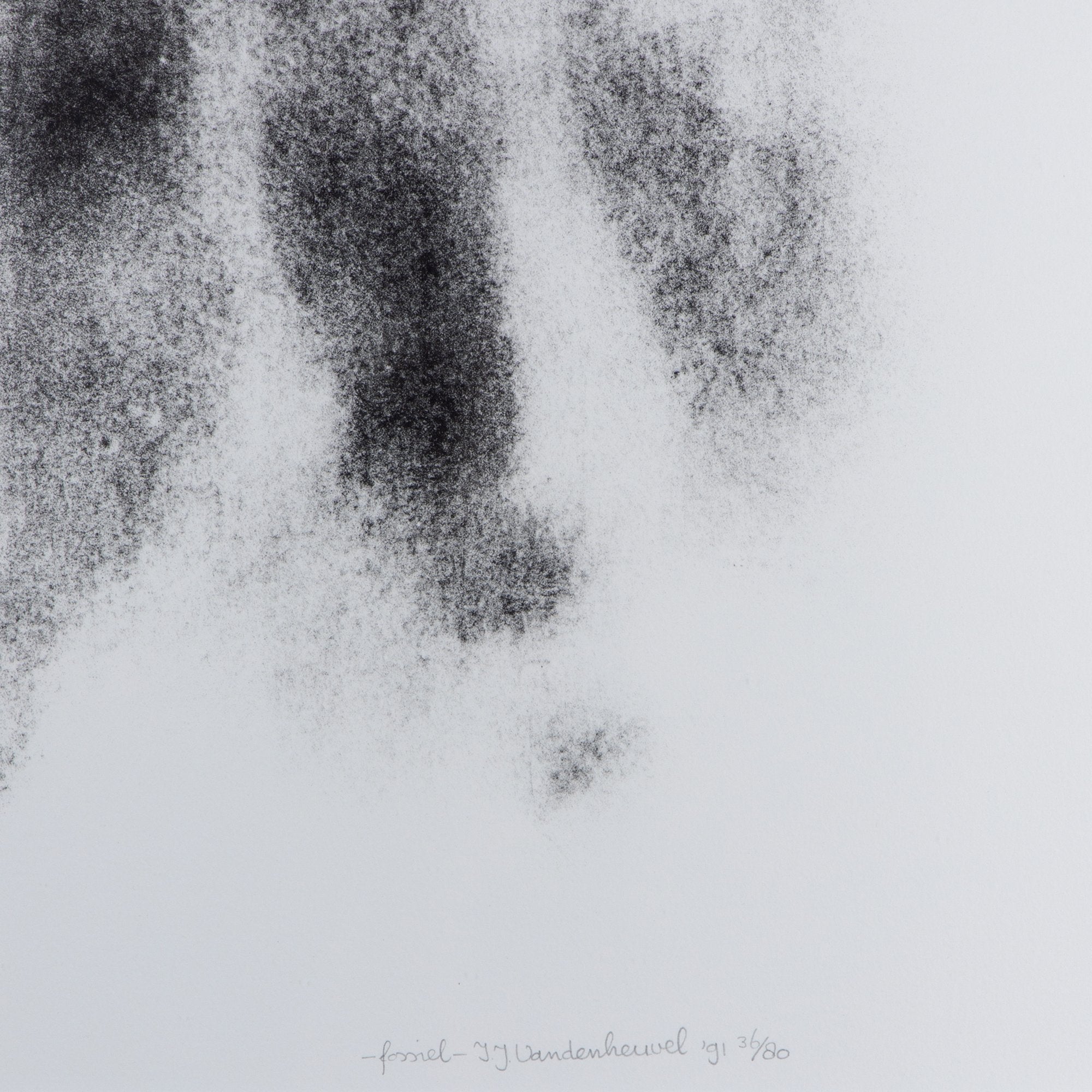 Ina Vandenheuvel, 'Fossiel'; 1991-zoom-2