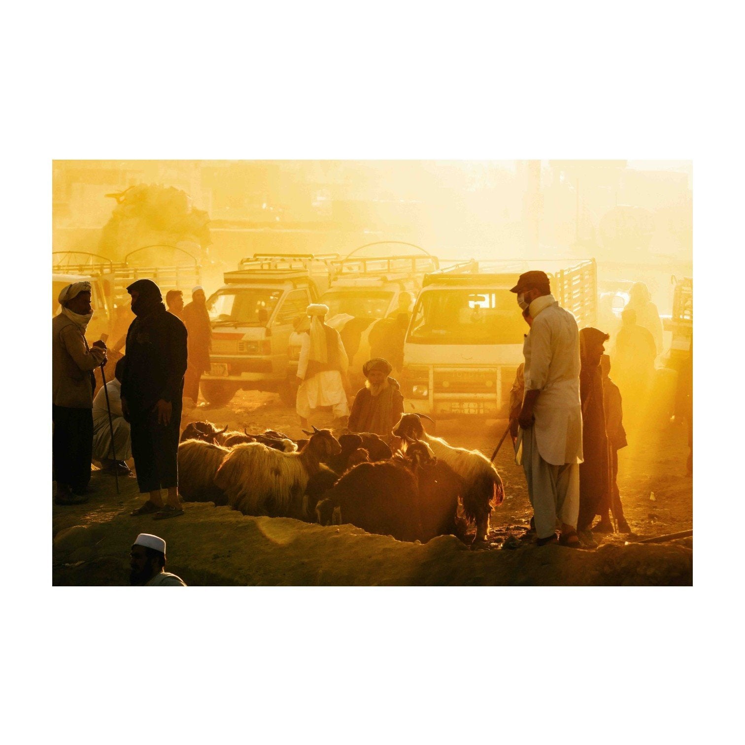Hedayat Amid, 'Livestock seller', 29-7-2020-zoom-1